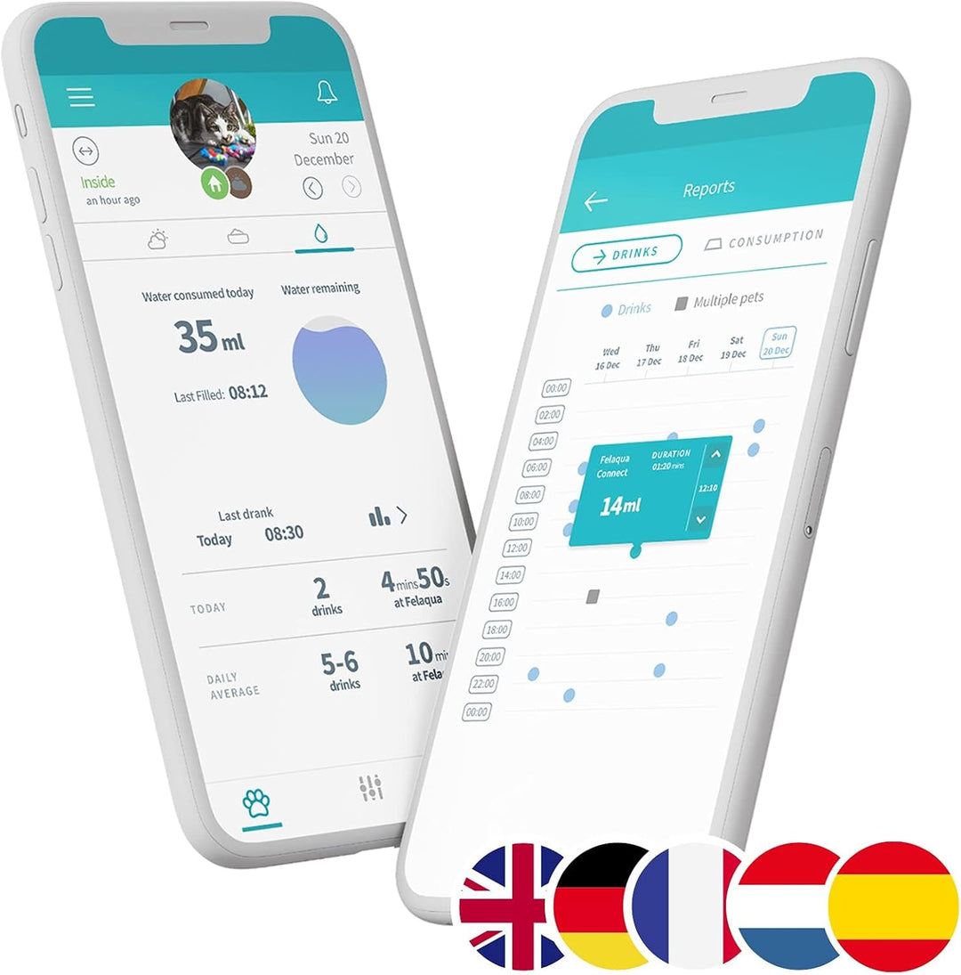 Sure Petcare Felaqua Connect, Katzen-Wassernapf, kompatibel mit RFID-Halsbändern und Mikrochips, bat
