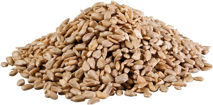 PANTO Sonnenblumenkerne geschält 25 kg – Wildvogelfutter aus reinen, schalenlosen Sonnenblumenkernen