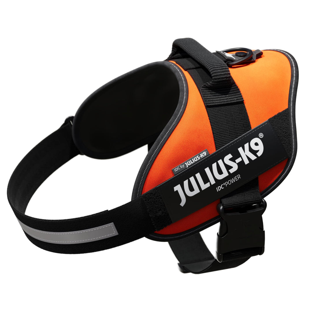 IDC Powergeschirr, Grösse: XL/2, UV Orange UV Orange XL/2, UV Orange XL/2