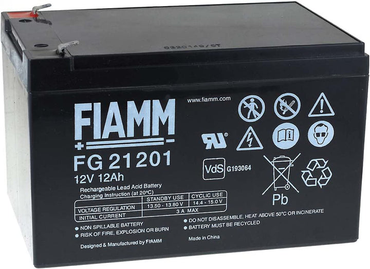FIAMM Bleiakku FG21202 VDs, 12V, Lead-Acid