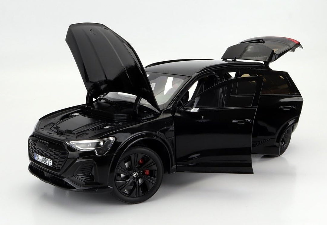 Audi 5012328651 Modellauto 1:18 Miniatur Q8 e-tron, schwarz