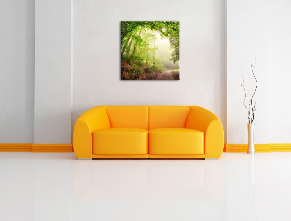 Sonnenstrahlen Waldweg, Format: 70x70 auf Leinwand, XXL riesige Bilder fertig gerahmt mit Keilrahmen