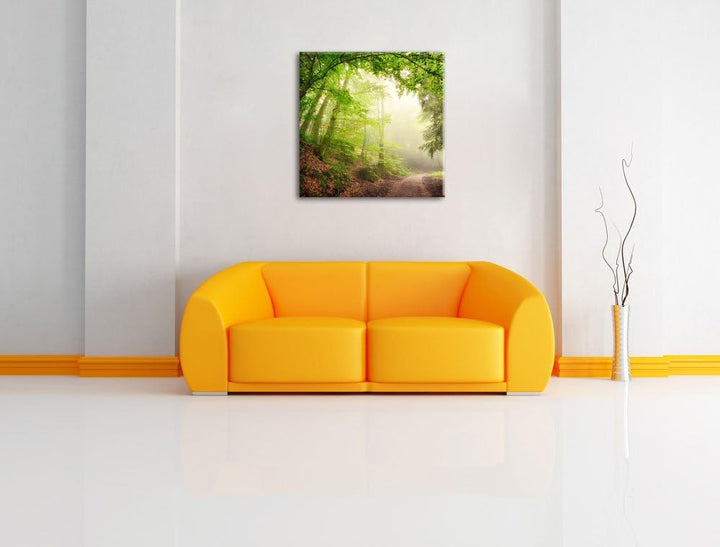 Sonnenstrahlen Waldweg, Format: 70x70 auf Leinwand, XXL riesige Bilder fertig gerahmt mit Keilrahmen