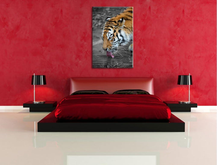 stolzer Tiger am Wasser schwarz/weiss auf Leinwand, XXL riesige Bilder fertig gerahmt mit Keilrahmen