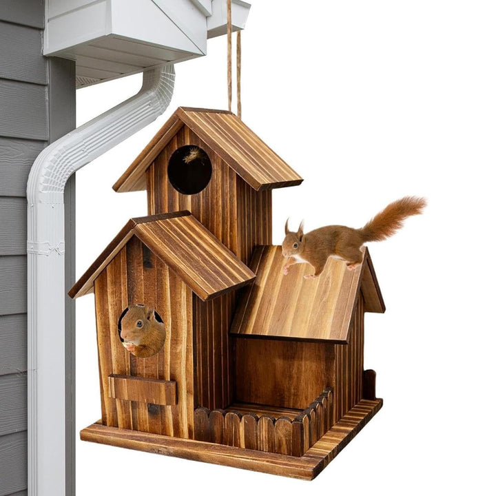 Eichhörnchen-Futterstation im Freien Streifenhörnchen-Futternapf mit | Streifenhörnchen-Futterbox Zu