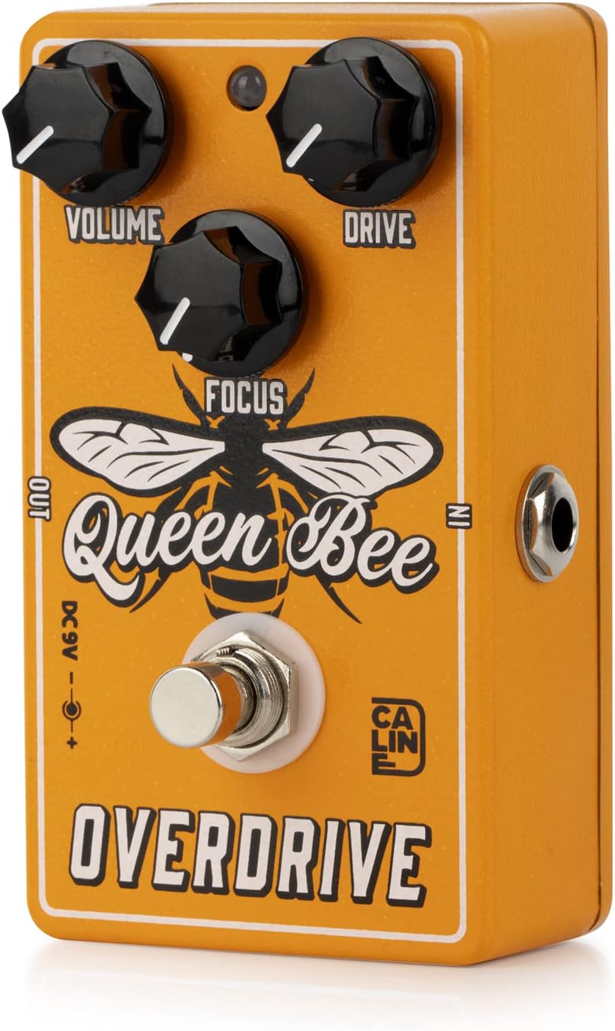 Caline CP-503 »Queen Bee« Overdrive | Boden-Effektgerät CP503, CP503