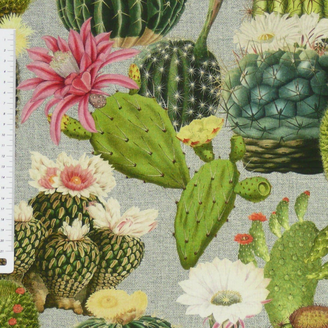 SCHÖNER LEBEN. Zugluftstopper Kakteen grau grün div. Grössen, Auswahl:80cm Länge ca. 80x15x15cm (LxB