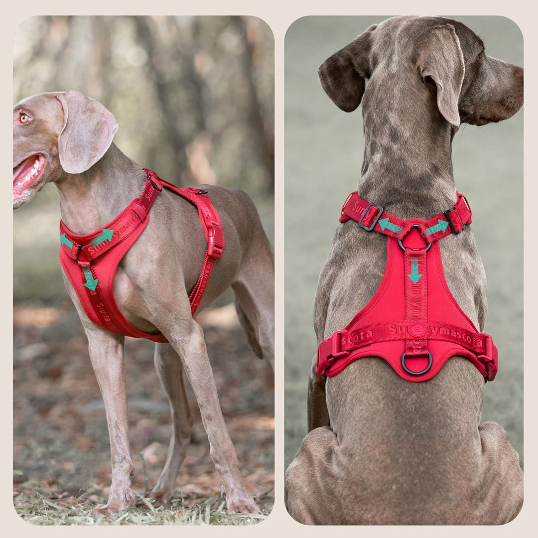 No Pull Hundegeschirr mit weicher Lycra-Polsterung, atmungsaktiver Komfortweste aus Mesh, Verstellba