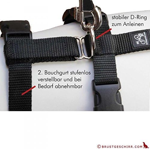 Feltmann NoExit Hundegeschirr® - ausbruchssicher, Panikgeschirr, beige mit braunen Pfötchen, Bauchum