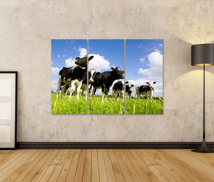 islandburner Bild auf Leinwand Holsteinische Kühe Auf Der Wiese Bilder Wandbilder Poster Leinwand 13