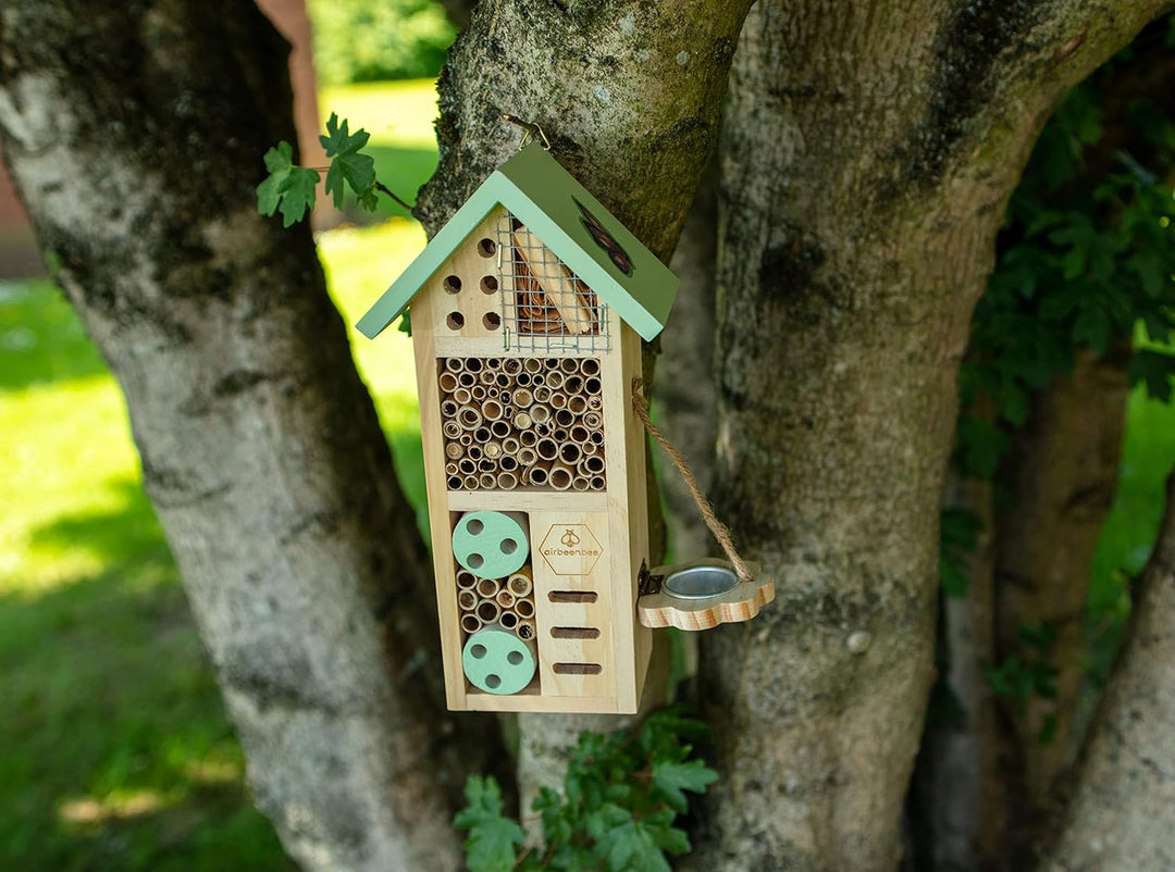 Boxer Gifts Air Bee'n'Bee Insektenhaus | Wildtiergeschenk für den Garten | tolles lustiges Geschenk