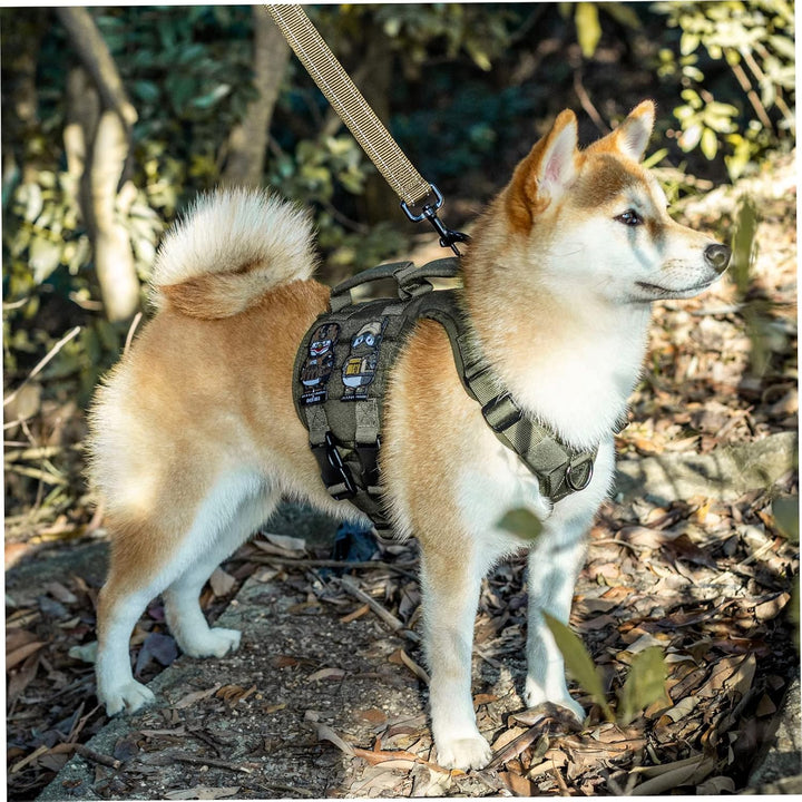 OneTigris Hundegeschirr, Gladiator Einstellbar Sicherheitsgeschirr für Grosse Mittlere Hunde No Pull
