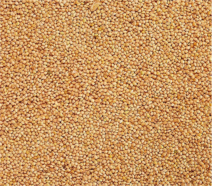 Dehner Vogel- und Nagerfuttersnack, Silberhirse, 10 x 1 kg (10 kg) Silberhirse 1 kg (10er Pack), Sil