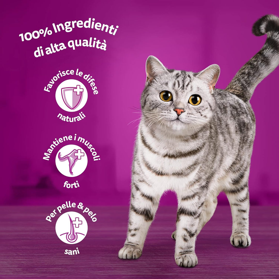 Whiskas Nassfutter für Katzen, Kollektion Country in Sosse, 13 x 4 x 85 g Whiskas Tasty Mix Country