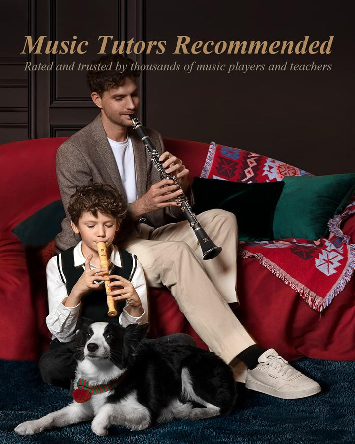 Eastar B-Klarinette für Anfänger, Ebonit Klarinette vernickelt mit 2 Birnen, 3 Blättern, weissen Han