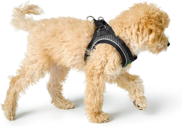 HUNTER HILO COMFORT Geschirr für kleine Hunde mit Netzmaterial und reflektierenden Elementen, anthra