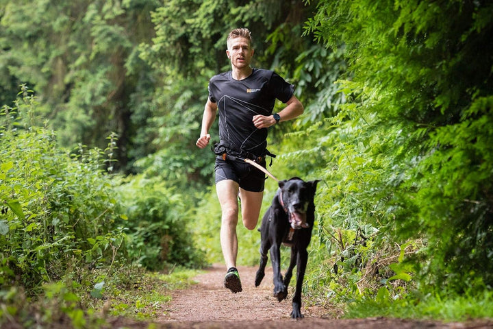 Non-stop dogwear CANIX-Belt | 123X | maximale Sicherheit - minimales Gewicht!, Grösse:M M (1er Pack)