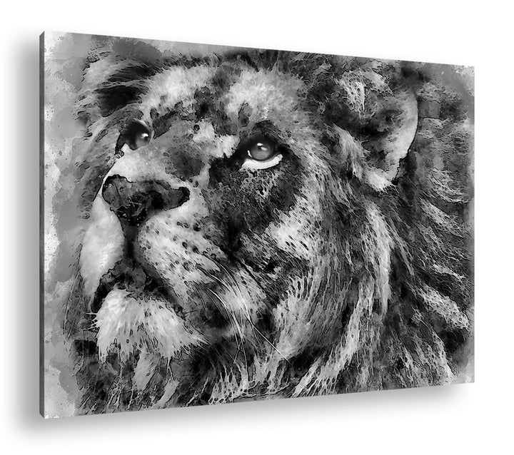 deyoli Löwen Porträt Format: 80x60 Effekt: Schwarz&Weiss als Leinwandbild, Motiv fertig gerahmt auf