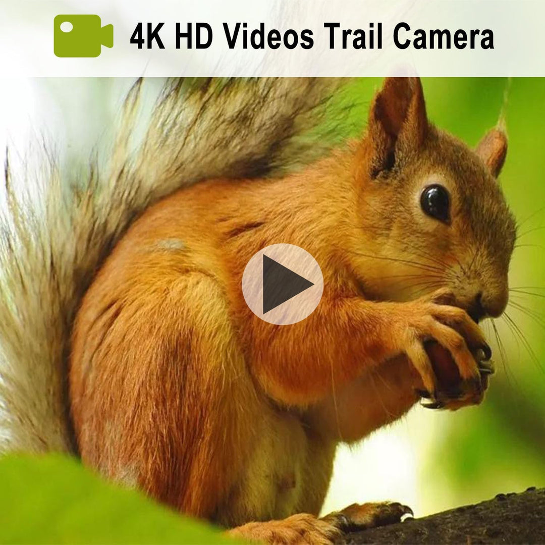 45MP 4K Trail Camera Game Camera Dual Flash 940nm LED und weisse LED Long Standby Time (LY590-D4K)