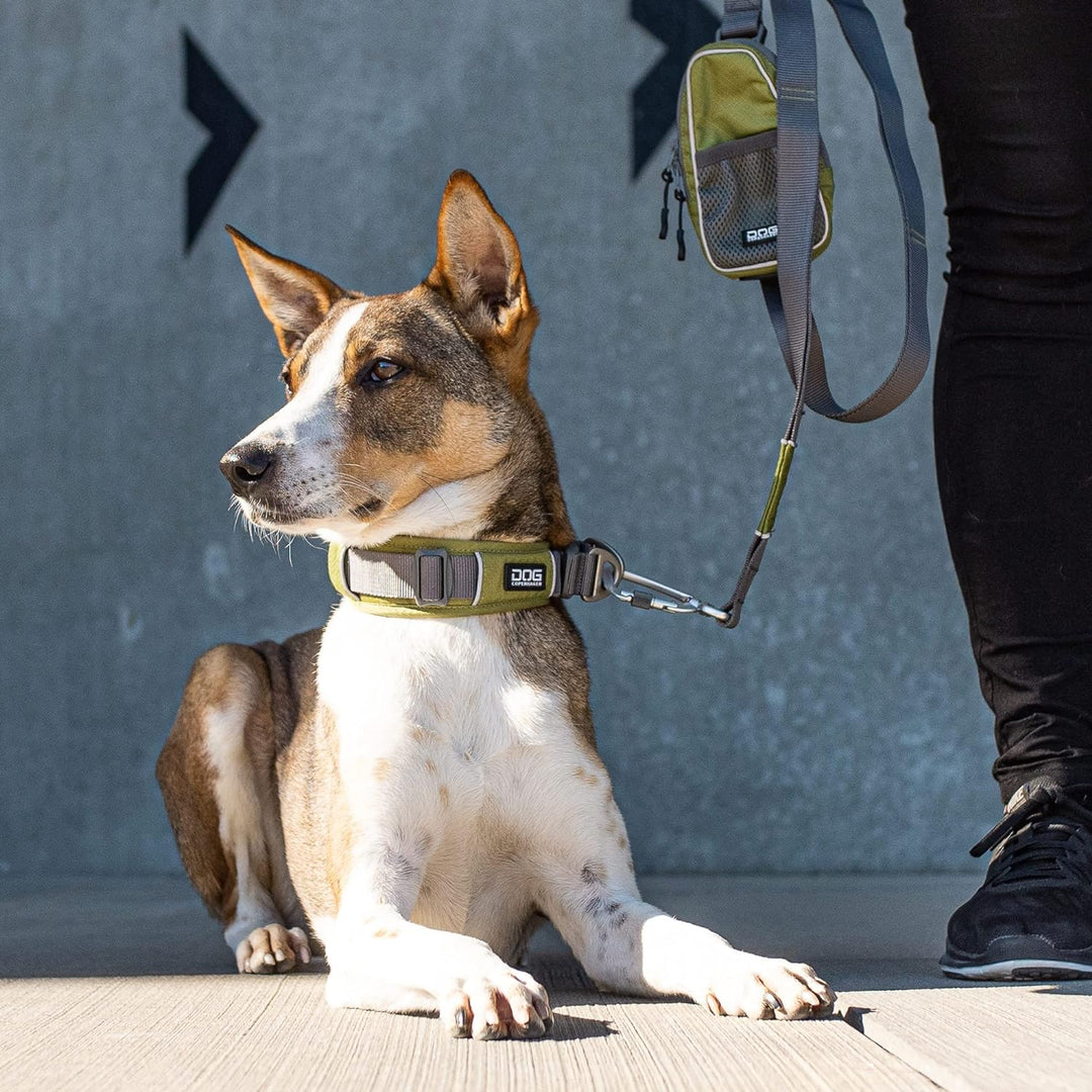 DOG Copenhagen Hundehalsband V2 Urban Explorer Collar Purple Passion Grösse XS XS Purple Passion | L