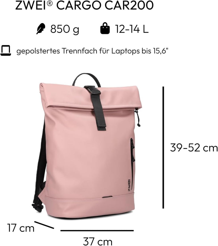 Zwei CARGO Rucksack CAR200 powder, Powder