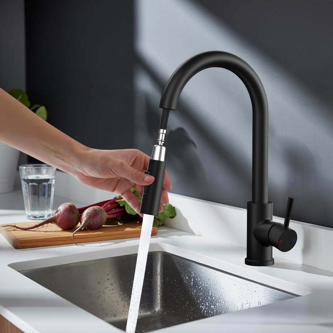 Rainsworth Schwarz Wasserhahn Küche mit Brause Ausziehbar - Hochdruck Küchenarmatur mit Zwei Wassers