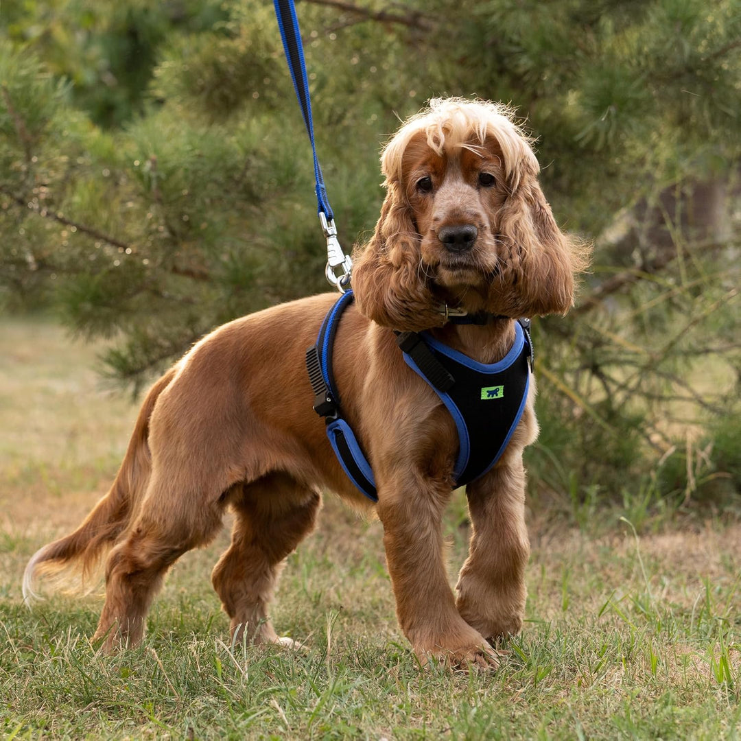 Ferplast Hundegeschirr mittlegrosse Hunde Geschirr Hunde mit Polsterung ERGOCOMFORT M, Halsumfang: 3