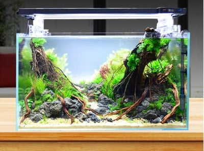 BEGONDIS Würfel Aquarium 20x20x20CM Becken Glasbecken 20*20*20CM, 20*20*20CM