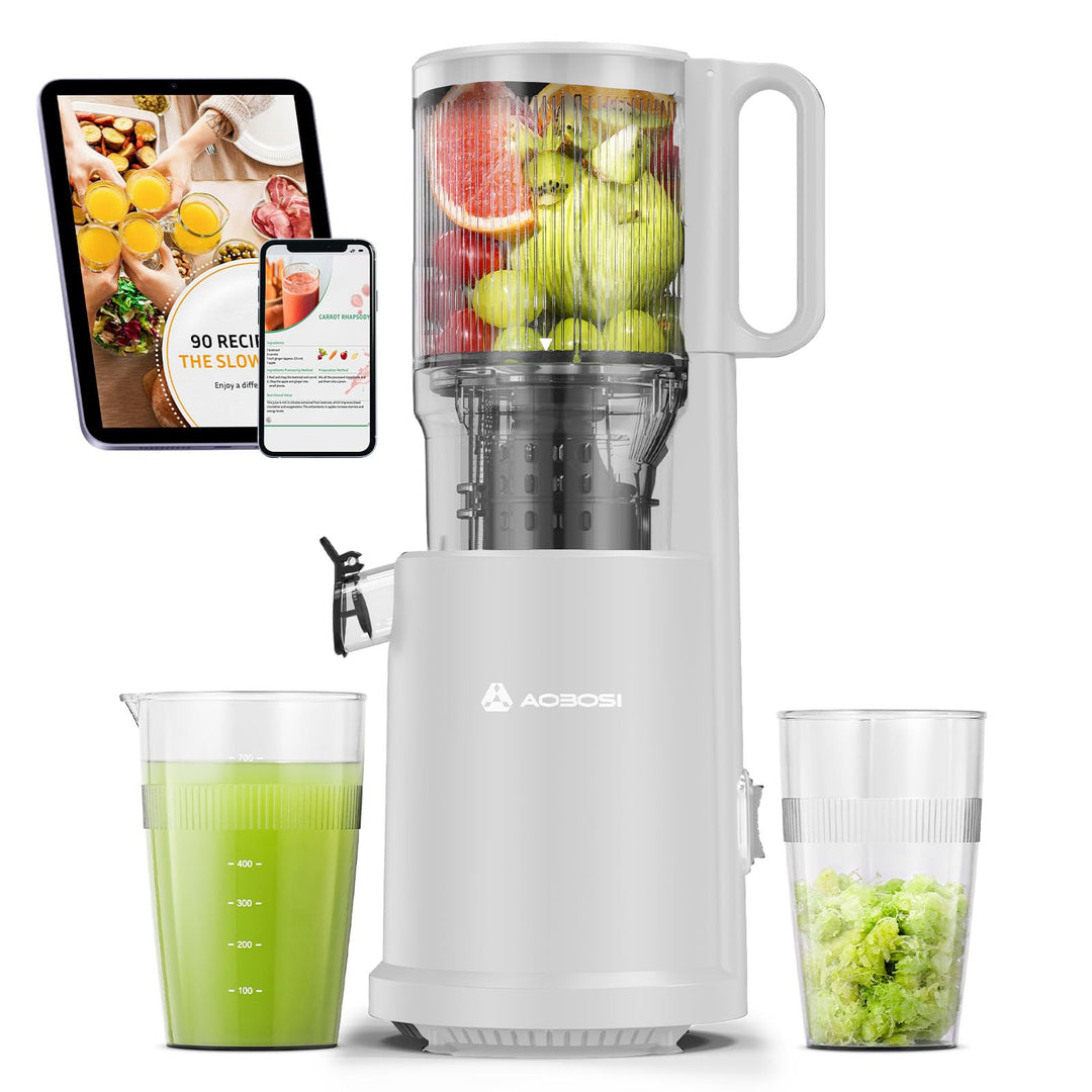 AAOBOSI Entsafter Gemüse und Obst mit 2 Geschwindigkeitsmodi - Slow Juicer mit Reinigungsbürste und