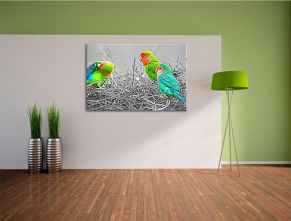 kleine süsse Papageien im Nest schwarz/weiss Deluxe Format: 100x70 cm auf Leinwand, XXL riesige Bild