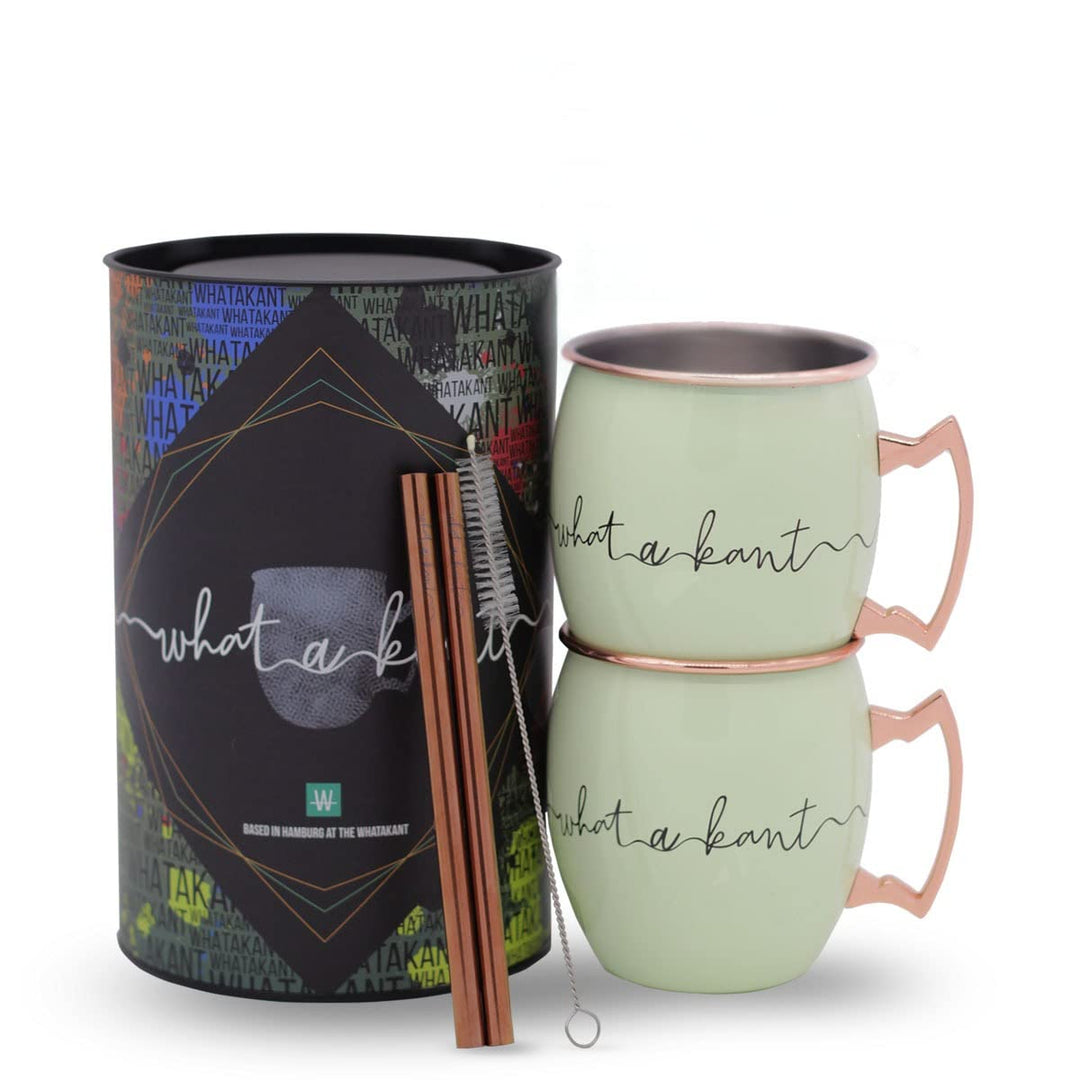 Whatakant - Moscow Mule Becher Set - 2er Grossschot in Mintgrün - 550 ml nachhaltige Kupferbecher un