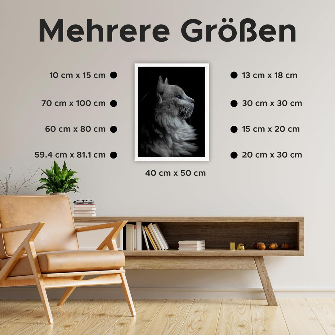 Estancia Bilderrahmen A3 Weiss | Bilderrahmen 29,7x42 cm mit Bruchsicherem Plexi-Glas | Moderner Por