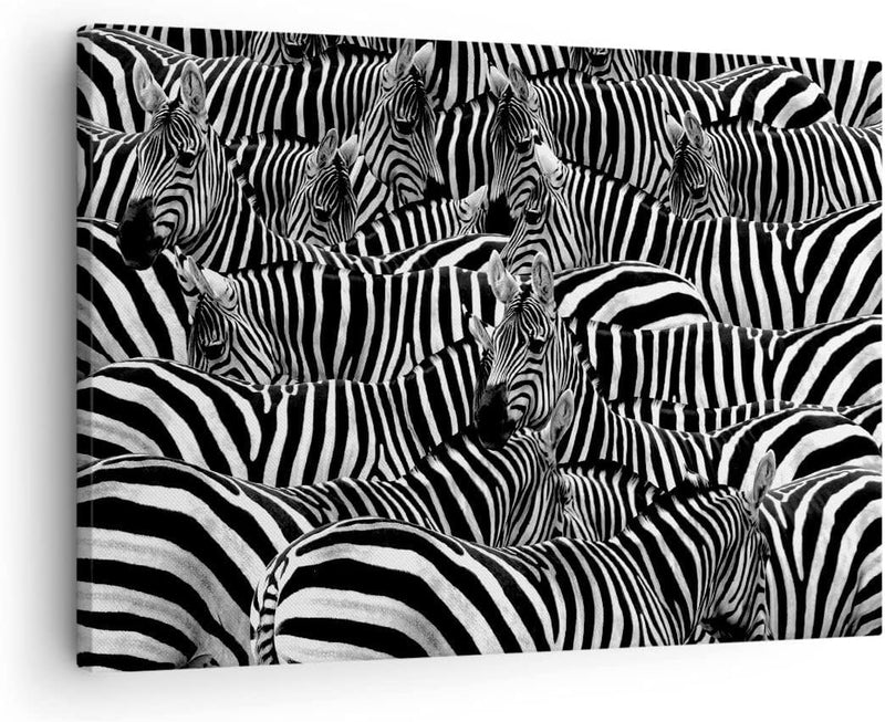 Bilder auf Leinwand Tiere Zebra Streifen Leinwandbild mit Rahmen 70x50cm Wandbilder Dekoration Wohnz