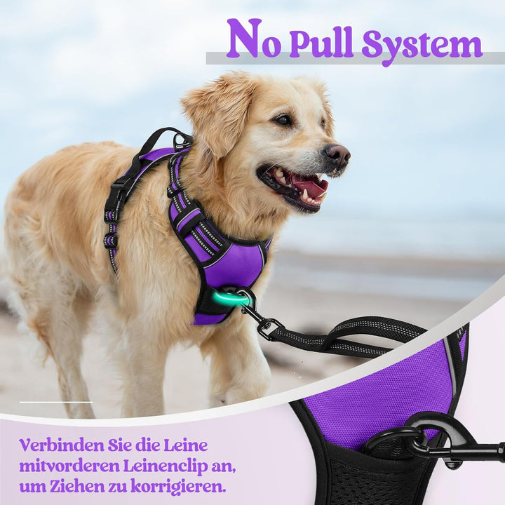 rabbitgoo Hundegeschirr Mittelgrosse Hunde, Anti Zug Geschirr mit Kontrolle, No Pull Verstellbar Hun
