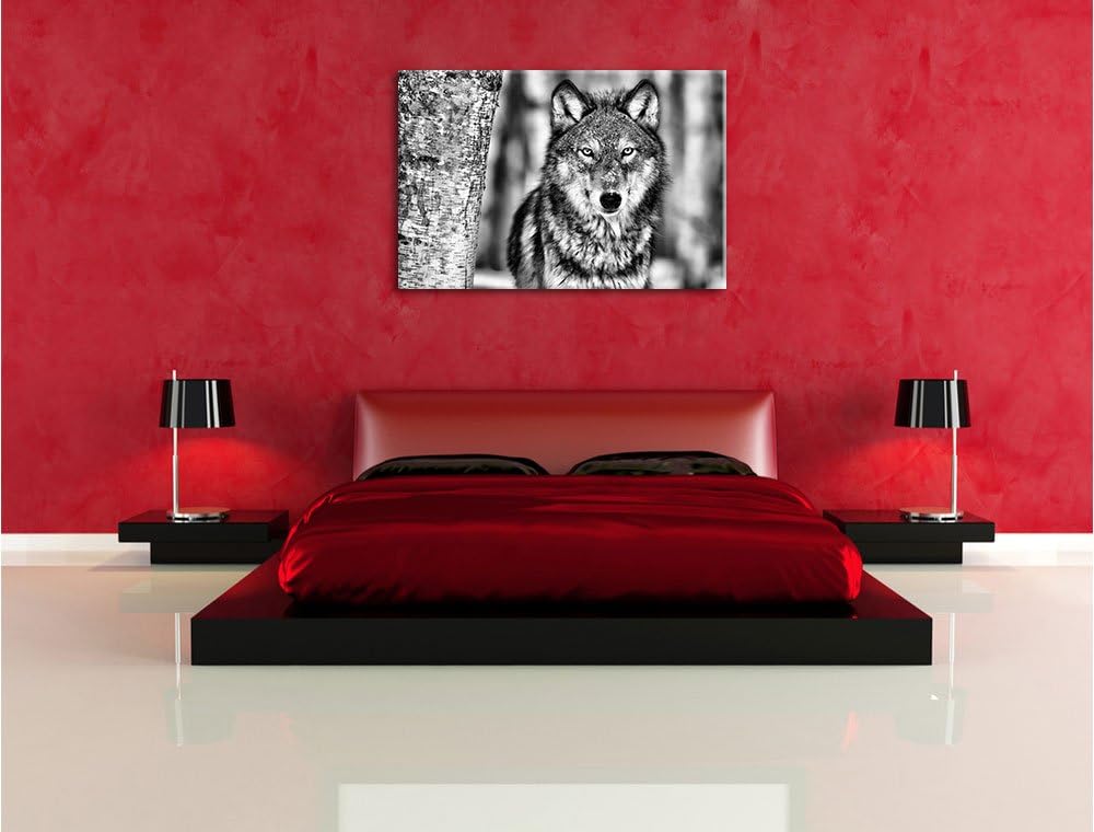 Pixxprint Wachsamer Wolf als Leinwandbild/Grösse: 100x70 cm/Wandbild/Kunstdruck/fertig bespannt, 100