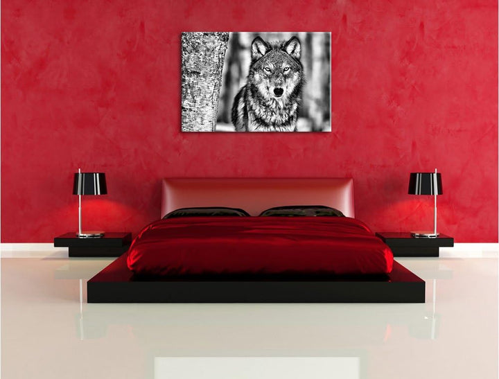 Pixxprint Wachsamer Wolf als Leinwandbild/Grösse: 100x70 cm/Wandbild/Kunstdruck/fertig bespannt, 100