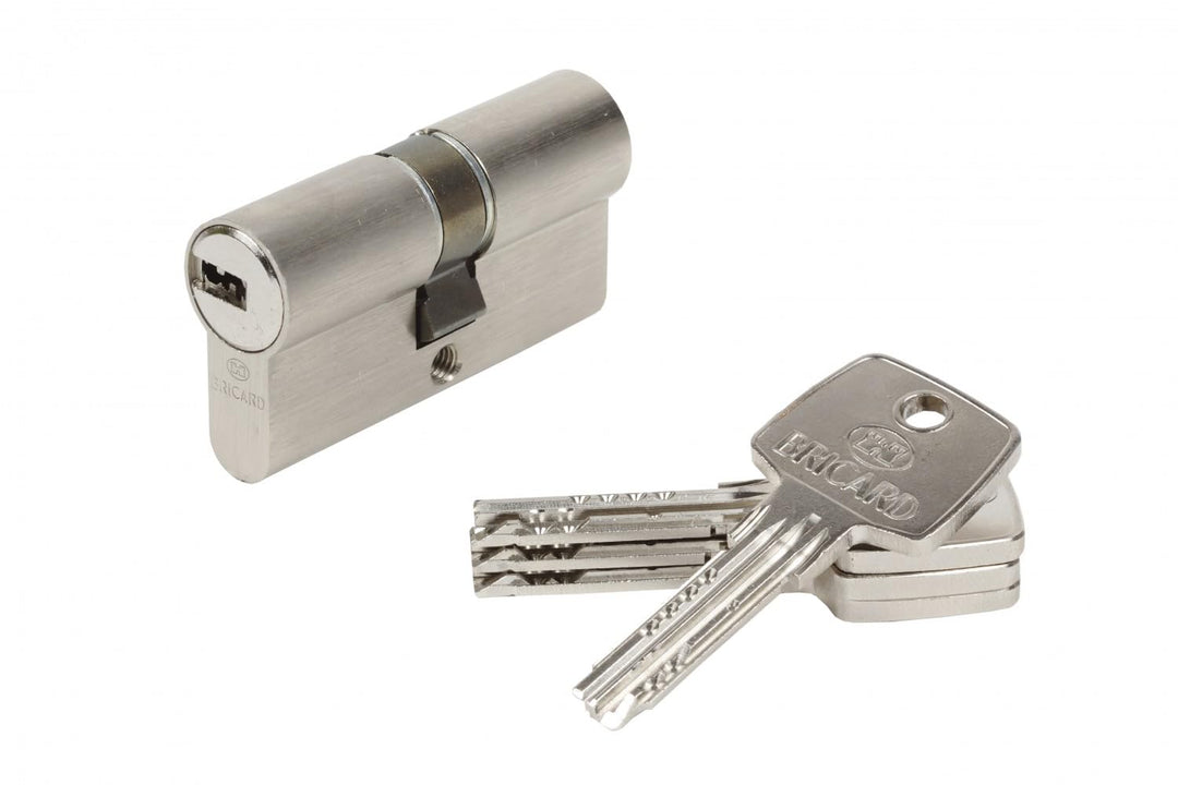 BRICARD 15701 Zylinder Astral 2, 9 Messing vernickelt 10 Kolben, 2 Eingänge 30 + 30, Protektoren geg