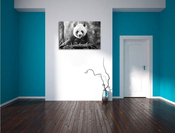 Pixxprint Panda isst Bambus als Leinwandbild/Grösse: 100x70 / Wandbild/Kunstdruck/fertig bespannt, 1