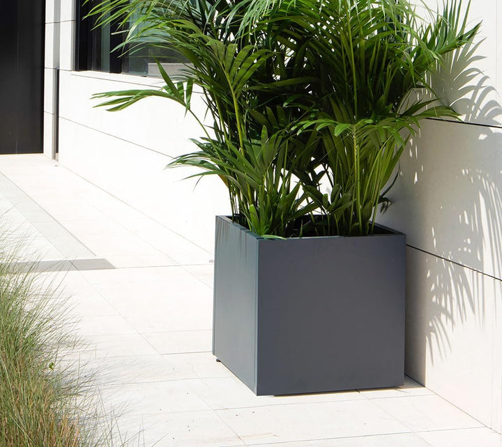 herstera Garden Metall Pflanzkübel Cube | Anthrazit | 50x50x50 cm Mehrfarbig 50x50x50 cm, Mehrfarbig