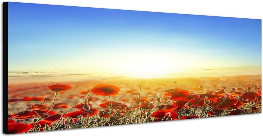 Paul Sinus Art Panoramabild auf Leinwand und Keilrahmen 150x50cm Mohnblumen Wiese Sonnenaufgang