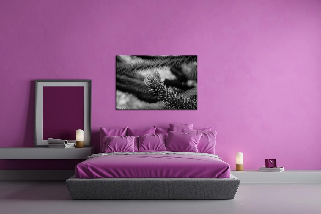 deyoli Frühlingserwachen der Tannenbäume Format: 80x60 als Leinwand, Effekt: Schwarz&Weiss, Motiv fe