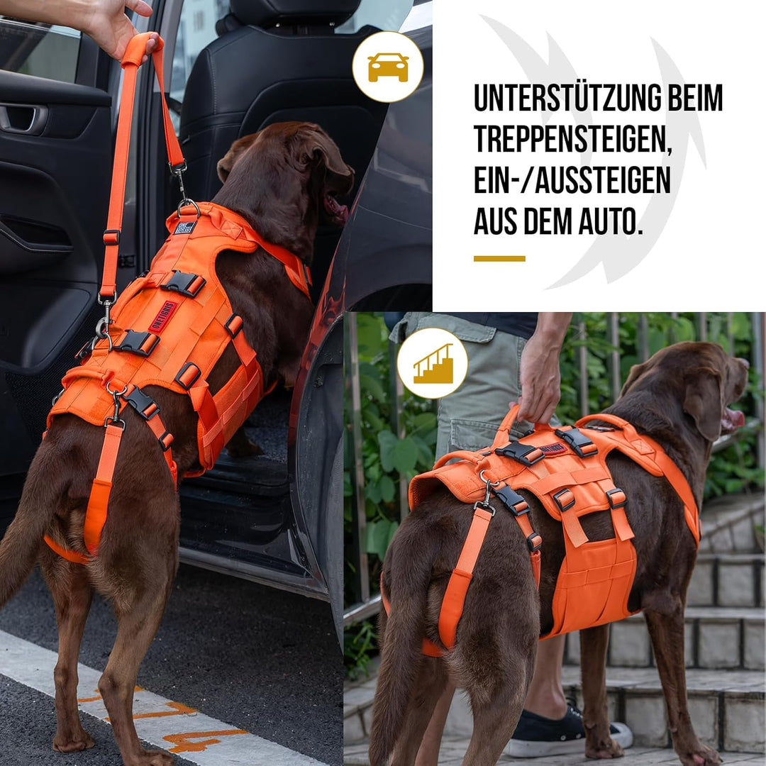 OneTigris Hundegeschirr, Invictus Hunde Tragehilfe für Mittelgrosse Grosse, Einstellbar Gehhilfe für
