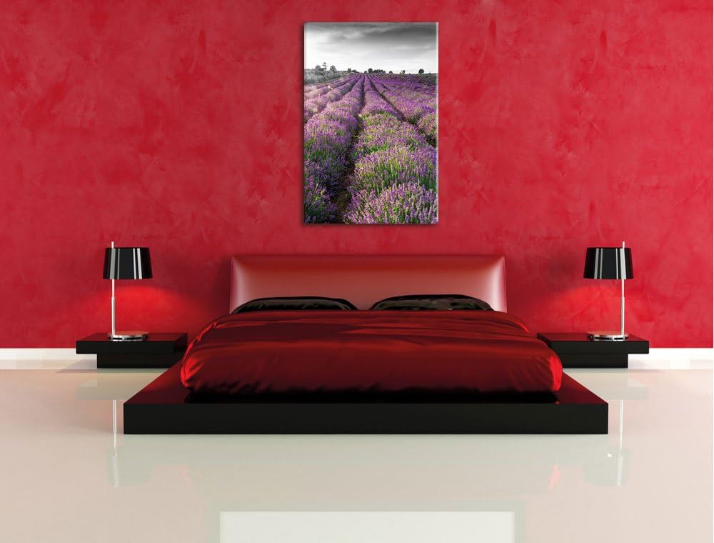 Pixxprint Lavendelfelder in der Provence als Leinwandbild/Grösse: 100x70 cm/Wandbild/Kunstdruck/fert