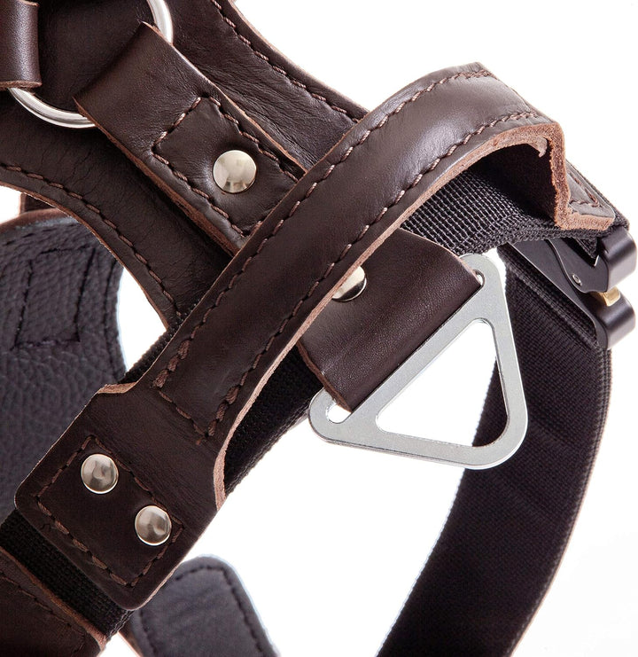 DINGO GEAR Hundegeschirr mit Kobra-Schnalle, Grösse XL bronze XL, bronze XL