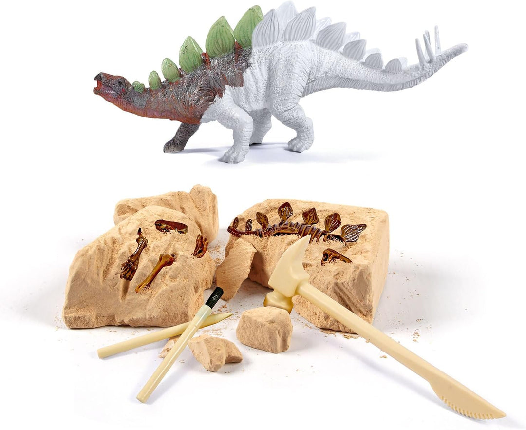 EGGBOX Dinosaurier Skelett Ausgrabungsset für Kinder, 2-in-1 Stegosaurus Dino Dig & Malset, Dinosaur