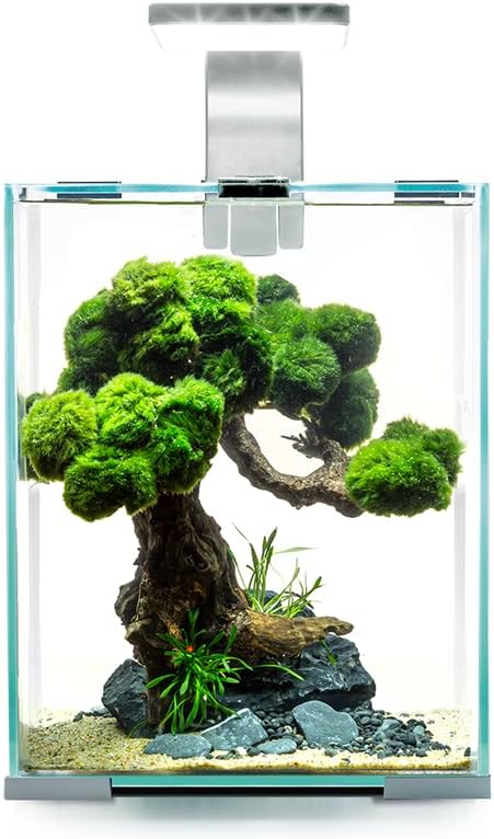 Aquael 122977 Shrimp Set Day&amp;Night 10, weiss, 3.26 kg, 10 Liter