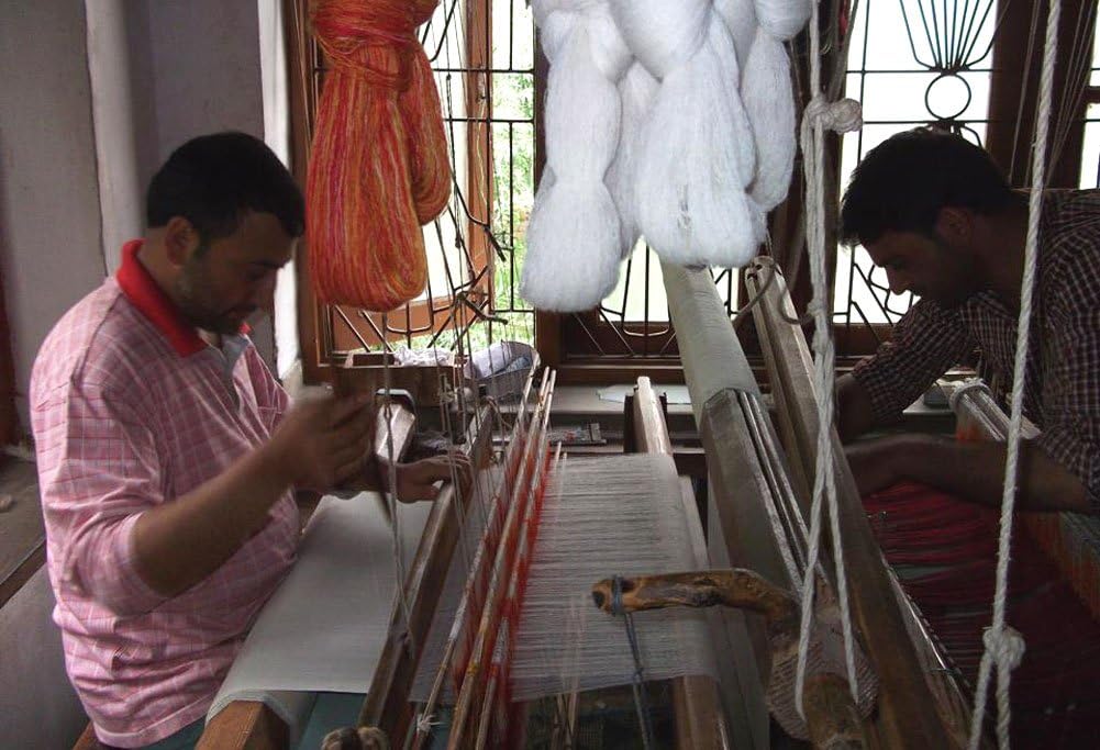 Lorenzo Cana Damen Pashmina Schal Schaltuch 100% Kaschmir Kaschmirschal Kaschmirtuch Kaschmirpashmin