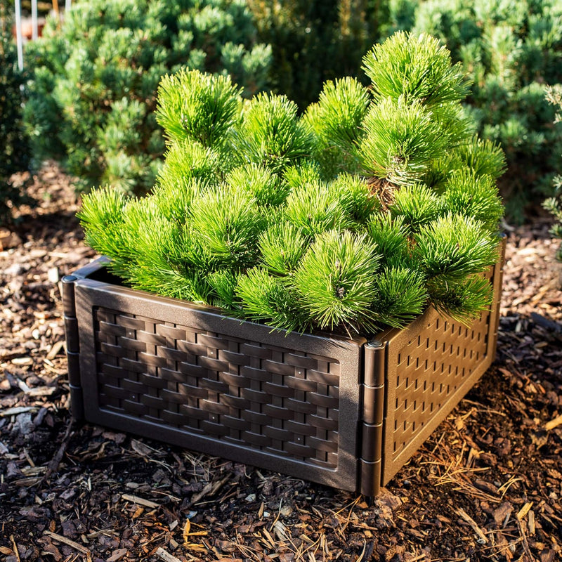UPP Rattan Hochbeet 12er Set Braun | Pflanzkasten als Stecksystem für Garten & Balkon | Blumenkasten