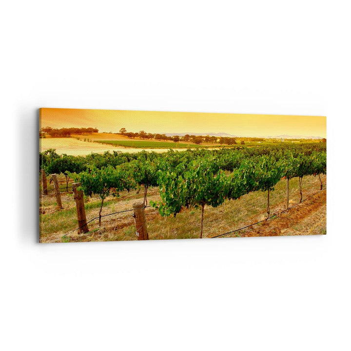 Wandbilder Dekoration Wohnzimmer Landschaft Weinberg Sonnenuntergang Bilder auf Leinwand 120x50cm Le
