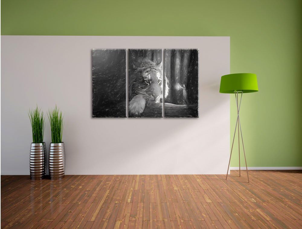 Pixxprint EIN Fantasy-Welt - eine Frau und EIN Riesen-Tiger Kunst Kohle Effekt 3-Teiler Leinwandbild